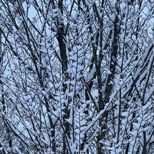 Meet your Posher, Nathalia